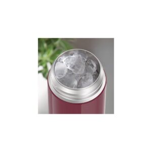 Thermos 12oz FUNtainer Water Bottle with Bail Handle - Cherry