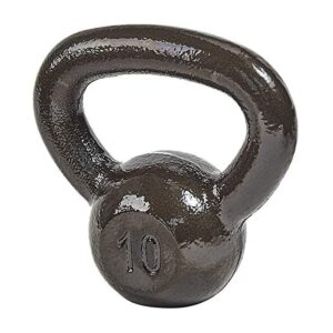 Everyday Essentials 10 Pound Full Body Fitness Exercise Strength Training Free Weight Kettlebell Weight Equipment for Home and Gym Workouts