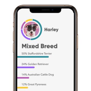 Embark Breed & Health Dog DNA Test