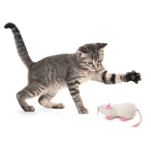 SmartyKat Rat Pack Kicker Cat Toy