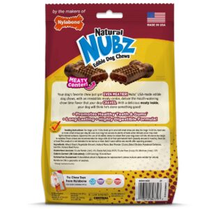 Nylabone Nubz Beef with Meaty Center Chewy Dog Treats - 20pk