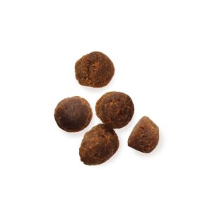 Trekker's Digestion Peanut Butter Flavor Chewy Dog Treats - 5oz Pouch