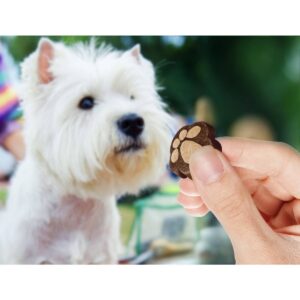 Cesar Softies Medley Trio Chewy Dog Treats - 16oz - 180ct