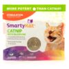 SmartyKat Silvervine & Catnip Blend Resealable Pouch Cat Treats - 0.5oz