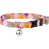 Country Brook Petz® May Flowers Cat Collar