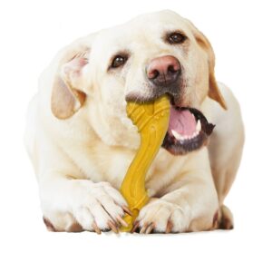 Nylabone Curvy Bone Dog Chew - L