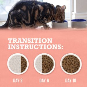 Purina Beyond Simply Salmon & Whole Brown Rice Recipe Adult Premium Dry Cat Food - 6lbs