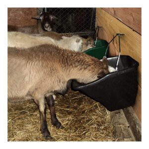 Little Giant 20-Quart Durable Plastic Flat Back Livestock Feed Bucket, Black