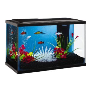 Tetra ColorFusion Bubbling LED Aquarium Kit 5 Gallons, With Bubbler And Color-Changing Light Disc