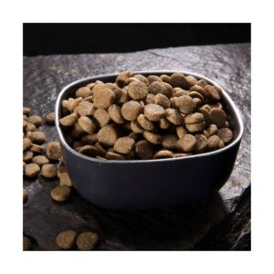 Crave Grain Free with Salmon & Ocean FIsh Adult Premium Dry Cat Food - 10lbs