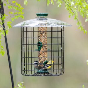 Droll Yankees Sunflower Squirrel Proof Domed Cage Bird Feeder - Green