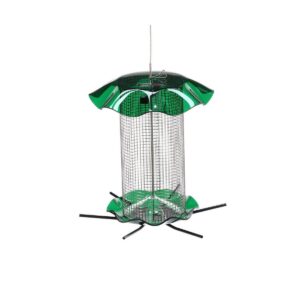 Birds Choice 3qt Forever Black Oil Sunflower - Green