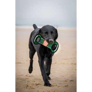 NCAA Oklahoma State Cowboys Football Field Dog Toy