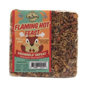 Home & Garden 4.5" 2 Small Cakes & Cage Set / 3 Bird Flaming Hot Woodpecker Mr Bird - Bird And Wildlife Food