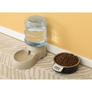 PawsMark Digital Scale Dog Feeding Bowl, Removable Washable Stainless Steel Bowl