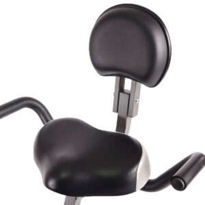 Stamina Wirk Ride Cycling Workstation