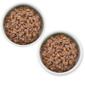 Purina Beyond Organic Chicken Ground Wet Dog Food - 13oz/6ct Variety Pack
