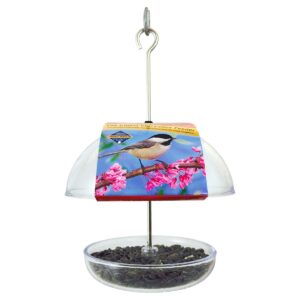 Droll Yankees The Cutest Chickadee Feeder - Clear