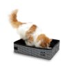 Necoichi Pop-Up Portable Cat Litter Box