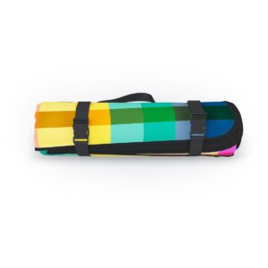 Ninola Design Rainbow Spring Gingham Picnic Blanket - Deny Designs