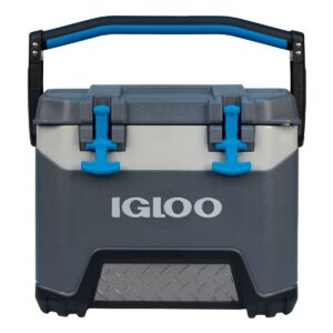 Igloo BMX 25qt Cooler - Gray
