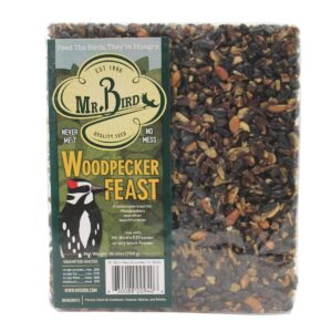 Home & Garden 7.38" Pecan Woodpecker Feast Set/2 Bird Large Cakes Feeding Mr Bird - Bird And Wildlife Food