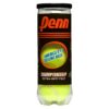 Penn Championship Extra Duty Tennis Balls - 3pk