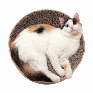 Necoichi Cozy Cat Scratcher Bowl
