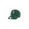 NFL Green Bay Packers Vintage Clean Up Hat
