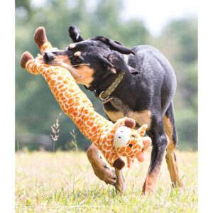 Charming Pet Longidudes Rabbit Dog Toy