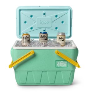 Igloo Picnic Basket Retro 25qt Cooler - Mint