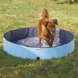 Cool Pup Splash About 63 Inch Diameter 12 Inches Tall Collapsible PVC Outdoor Dog Pet Swimming Pool, 119.25 Gallon, Blue