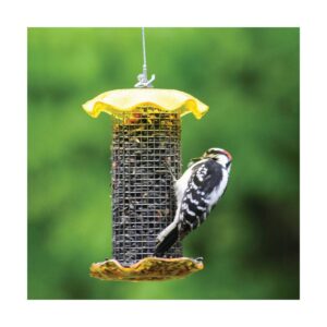 Birds Choice Forever Black Oil Sunflower Yellow Color 1qt