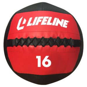Lifeline Wall Ball 16lbs
