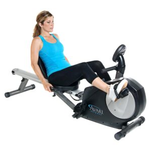 Avari Conversion II Rower/Recumbent Bike