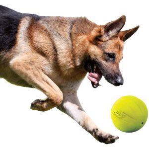 NERF Classic Squeak Ball Dog Toy - Green - 3.8"