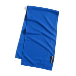 HydroActive Premium Towel - Blue Small