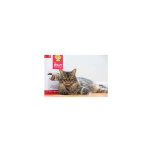 Dr. Elsey's Cat Attract Litter - 20lbs