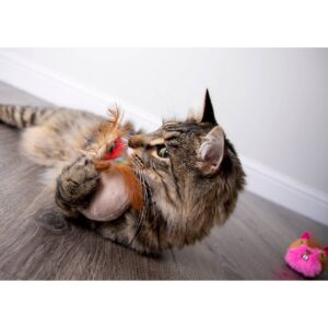 SmartyKat Chit Chatter Electronic Sound Cat Toy