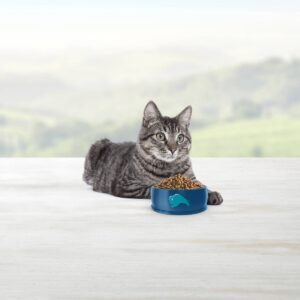 Blue Buffalo Indoor Hairball Control with Chicken & Brown Rice Mature Premium Senior Dry Cat Food - 7lbs