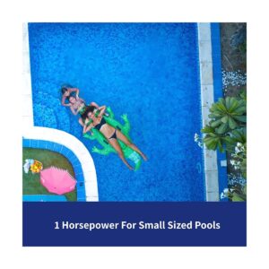 Blue Torrent 1 HP Blue Thunder Single Speed 2 Inch Port Pool Replacement Pump with On Off Switch and Standard Plug for Outdoor In Ground Pools