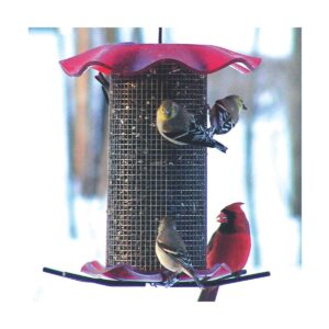 Birds Choice 3qt Forever Black Oil Sunflower Bird Feeder - Red