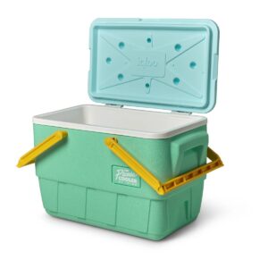 Igloo Picnic Basket Retro 25qt Cooler - Mint