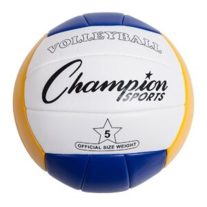 Champion Tournament Series Volleyball Set