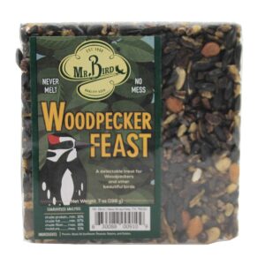 Home & Garden 4.5" 4 Small Cakes & Cage Set / 5 Bird Woodpecker Bug Nut Flaming Mr Bird - Bird And Wildlife Food
