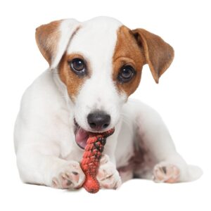 Nylabone Rubber Braid Dog Bone - S