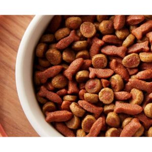 Rachael Ray Nutrish Tasty Salmon and Veggies Recipe Dry Cat Food - 12lbs