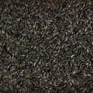 Kaytee Sunflower Seed Bird Food - 10lb.