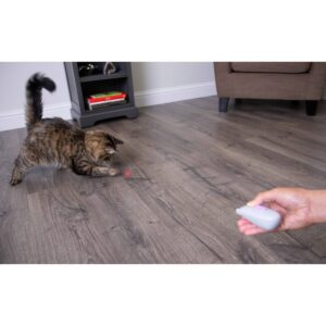 SmartyKat Racin Rascal Mouse and Remote Control with Laser Cat Toy