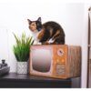 Park & Bench Tabby Telly Timber Cat Scratcher - Orange